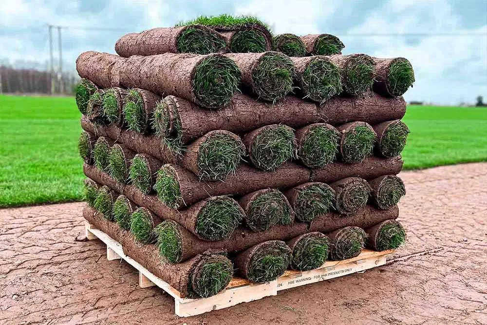Turfworld_Watering-New-Lawn-and-Grass-Seed_Turfworld-Emerald-Turf-Rolls-Pallet Turfworld_Watering-New-Lawn-and-Grass-Seed_Turfworld-Emerald-Turf-Rolls-Pallet