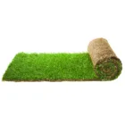 turf-turfworld-turf-roll-buy-turf[1]