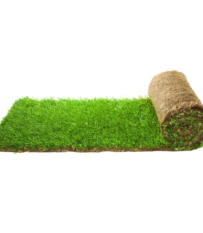 turf-turfworld-turf-roll-buy-turf[1]